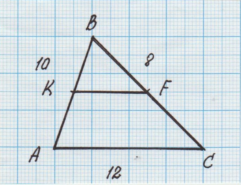справка для школы о посещении кружков образец